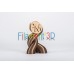 SILK filament collection